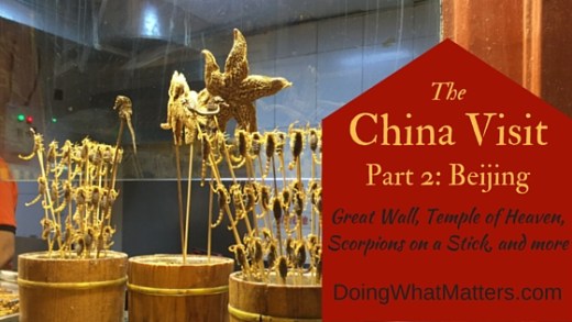 Scorpions on a stick in Beijing, China.