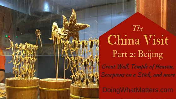 Scorpions on a stick in Beijing, China.