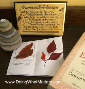 If your leaf group is missing a leaf, just draw it into your nature notebook.
