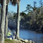 Fishing on the River