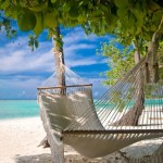 hammock(c)Endhals-dt_9184615