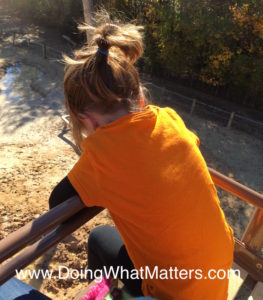 Miss Fearless on the ariel tram at the zoo. 