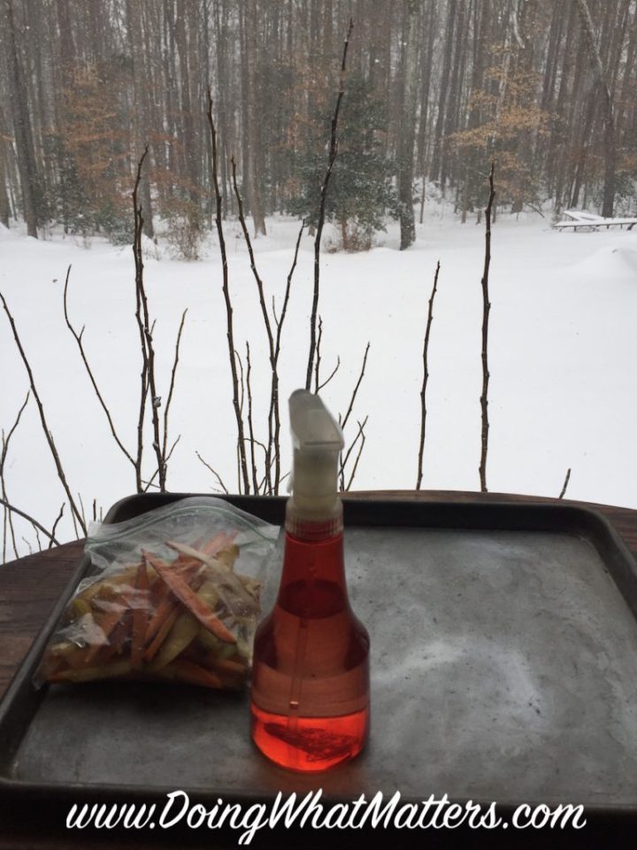 indoor snowman ingredients