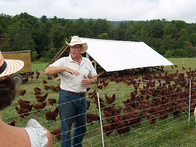 Joel Salatin gives a tour of Polyface Farm. Here he stands inside electric netting surrounding a flock of laying hens and their portable coop, dubbed an Eggmobile.