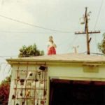 The garage roof was one of my favorite reading hideaways.