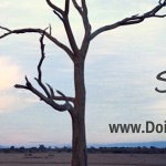 Keep homeschooling simple with simple routines and records.
