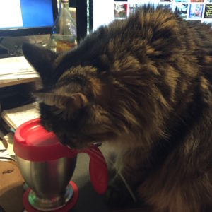 Olivia judged the Mighty Mug to be acceptable. 
