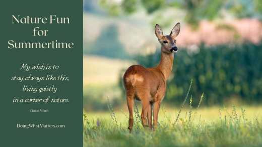 Have fun in nature this summer!