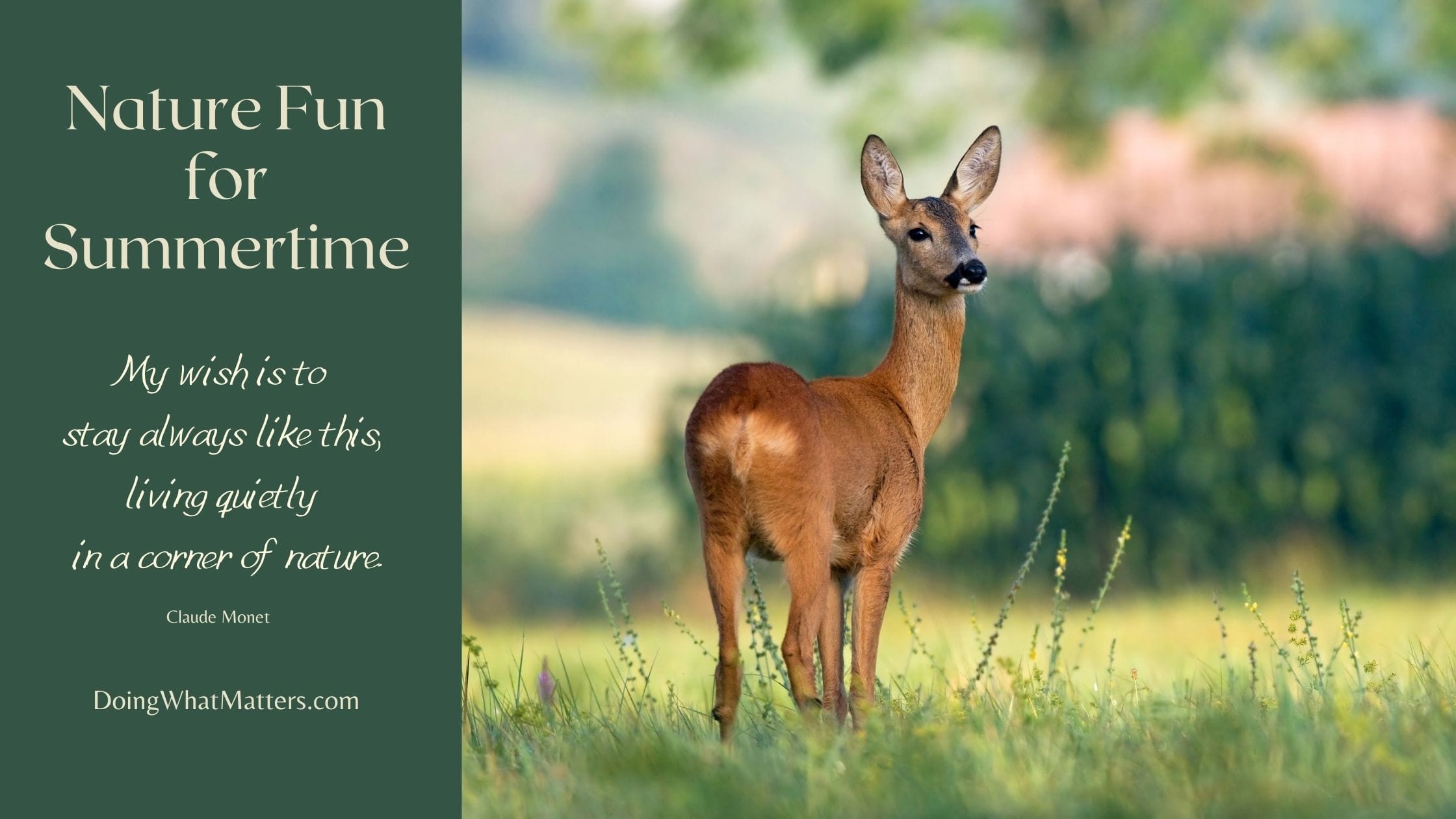 Have fun in nature this summer!