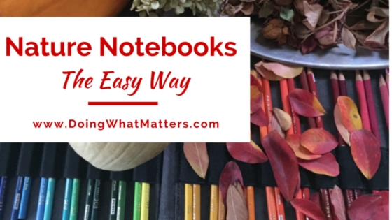 You can make nature notebooks the easy way. 