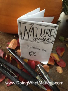 Regular old paper and plain old pens make a fine mini nature journal.