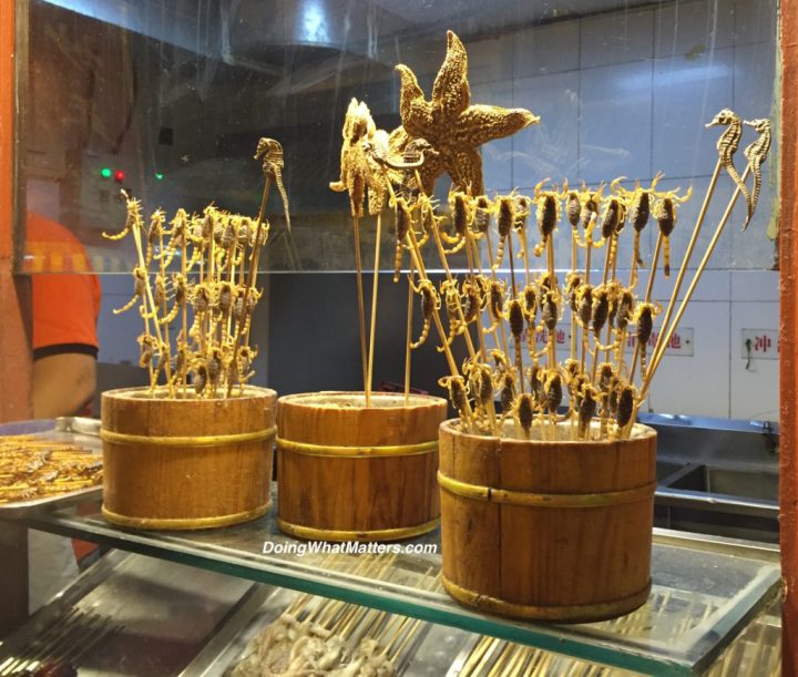 Scorpions, sea stars, and seahorses on a stick.