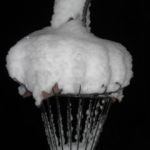 snowy-cage