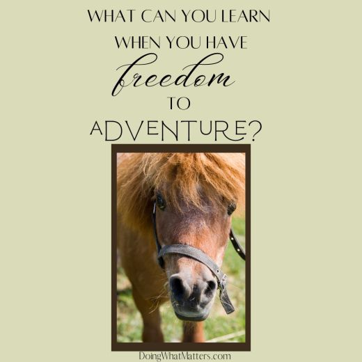 What can you learn with the freedom to adventure?
