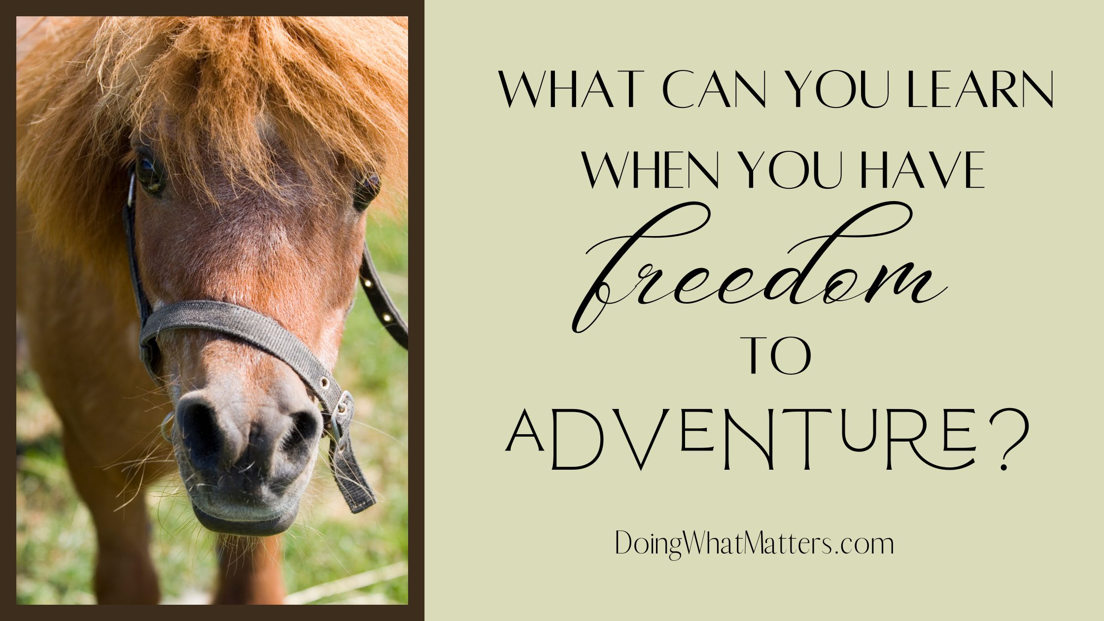 What can you learn when you have the freedom to adventure? 