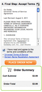 Accept the terms and conditions for use of your new domain.