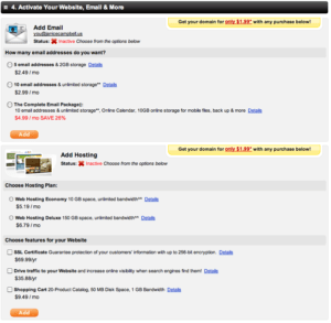 Decide whether you want to add e-mail or hosting services.